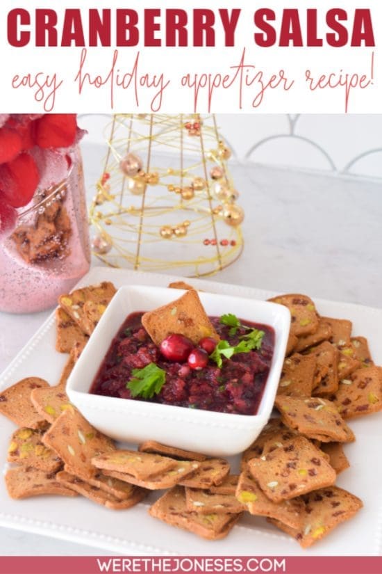 cranberry salsa dip