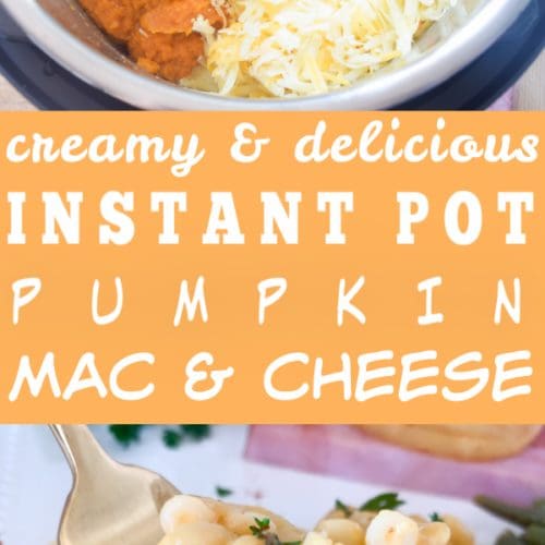 best instant pot recipes