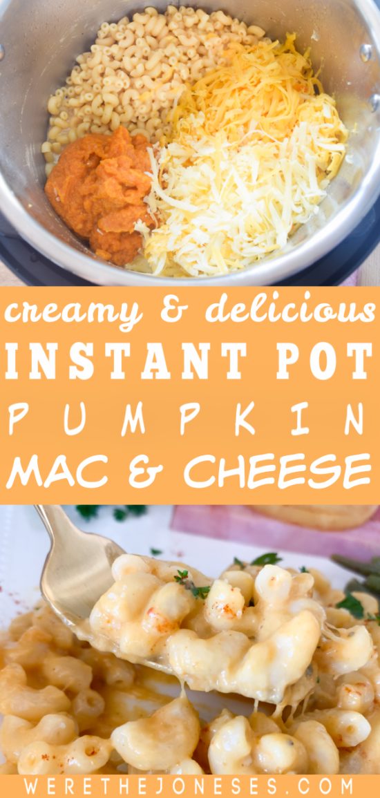 instant pot recipe macaroni and cheese