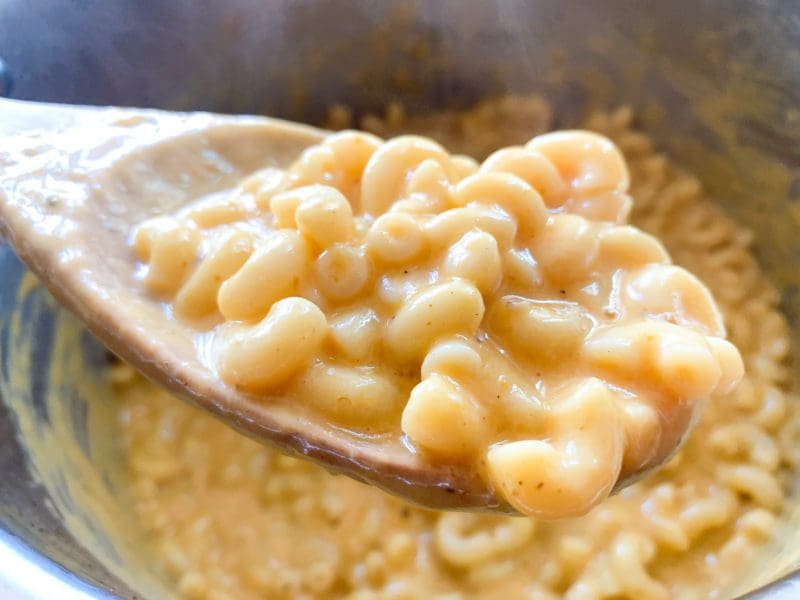 Best macaroni recipes